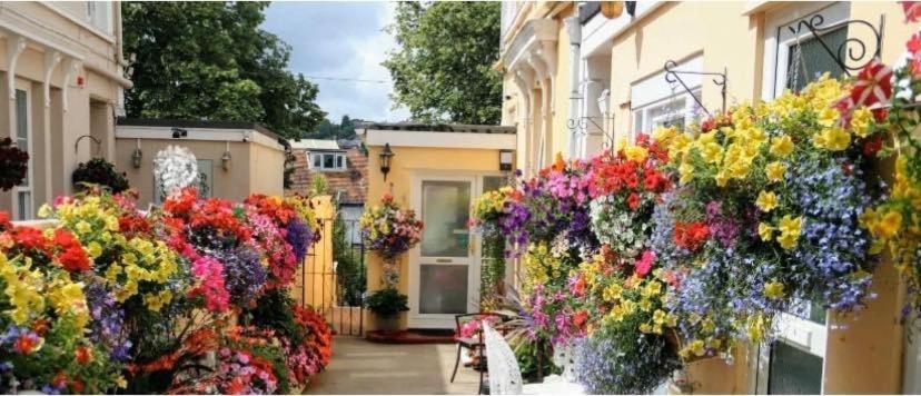 Bed and Breakfast Crowndale Torquay - Exclusively For Adults Exterior foto